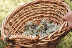 Kräuterkorb Wellness