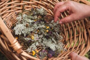 Kräuterkorb - Rituale Kraftplatz